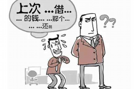 日照融资清欠服务